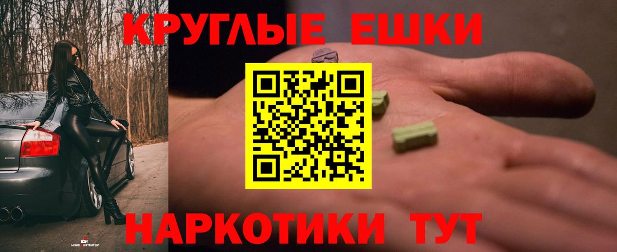Ecstasy Philipp Plein  Вход с VPN  ЭКСТАЗИ  Кировск 