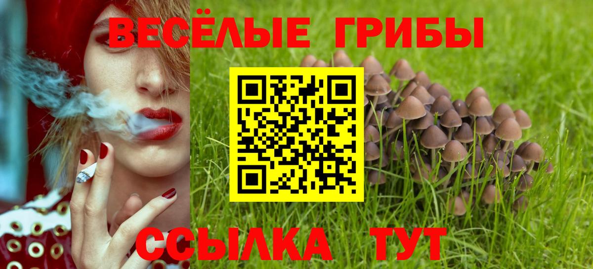 наркотики  Галлюциногенные грибы GOLDEN TEACHER  Вход с VPN  Кировск 